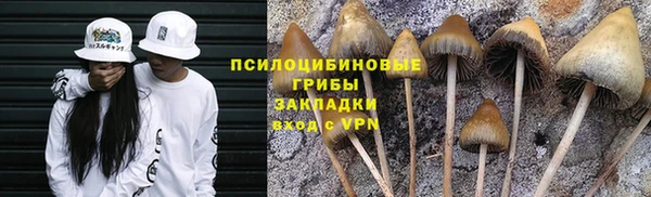 хмурый Алзамай